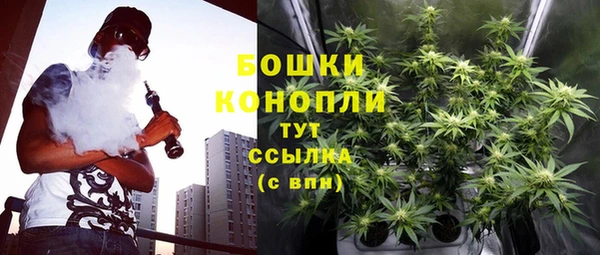прущие крисы Балахна